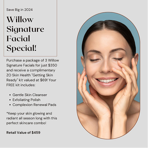 Signature Facial November Special at Willow